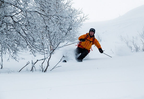 c_18495_12 c_18495_12