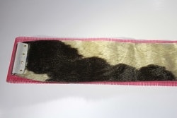 Selskinn_1 Selskinn_1
