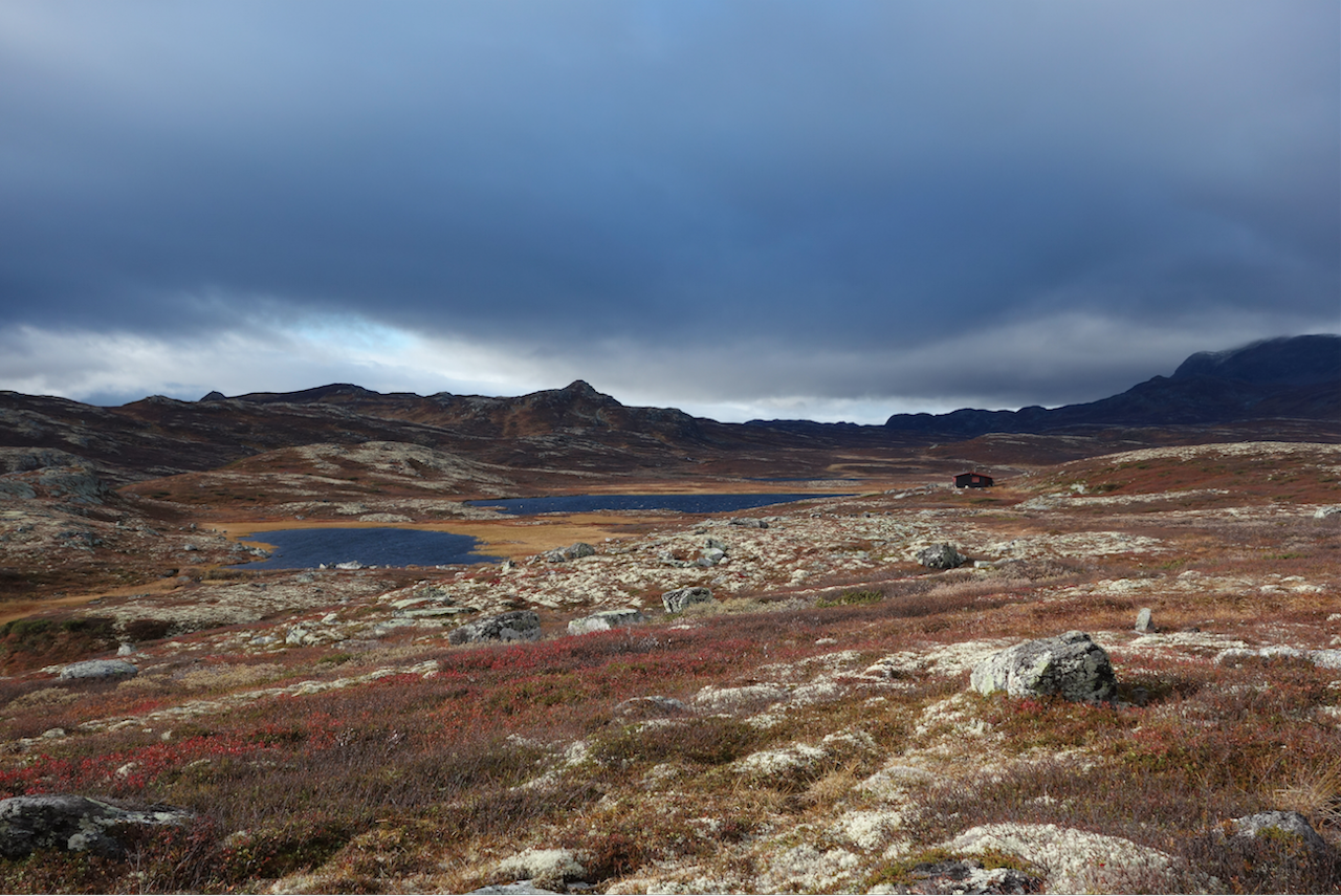 VÆRTEGN: En mørk himmel en ellers fin høstdag, gjør de fleste litt kjappere til beins. Foto: Sandra Lappegard værtegn på tur