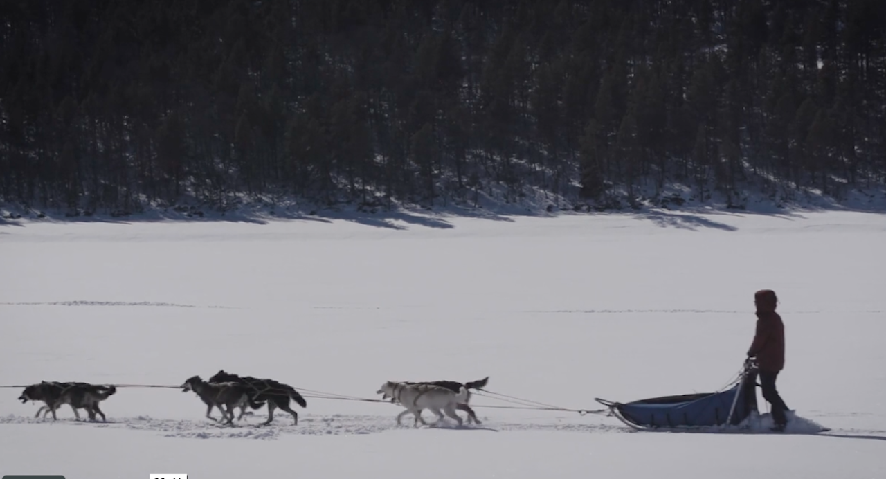 SIGRID EKRAN: En av Norges dyktigste hundekjørere.  Sigrid Ekran iditarod