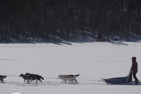 SIGRID EKRAN: En av Norges dyktigste hundekjørere.  Sigrid Ekran iditarod