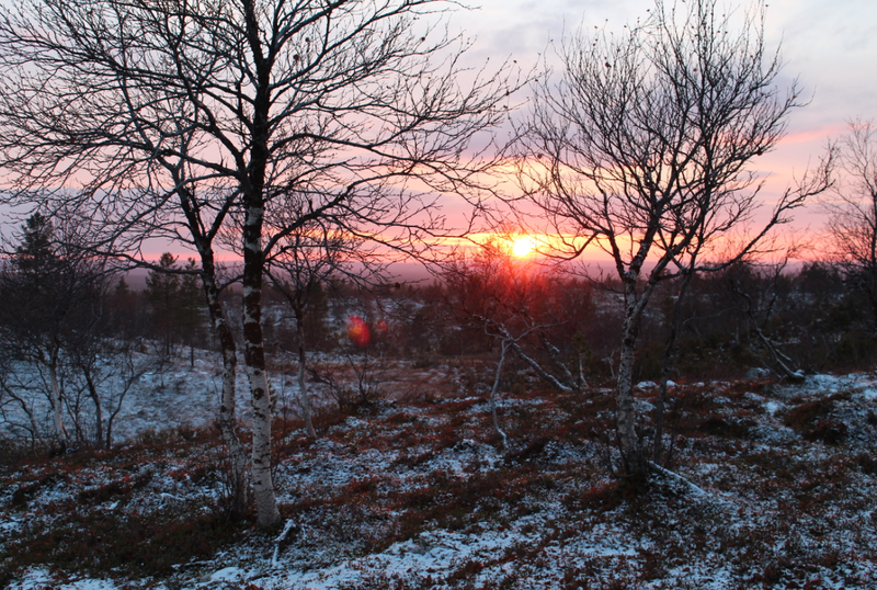 Tid for jakt Tid for jakt