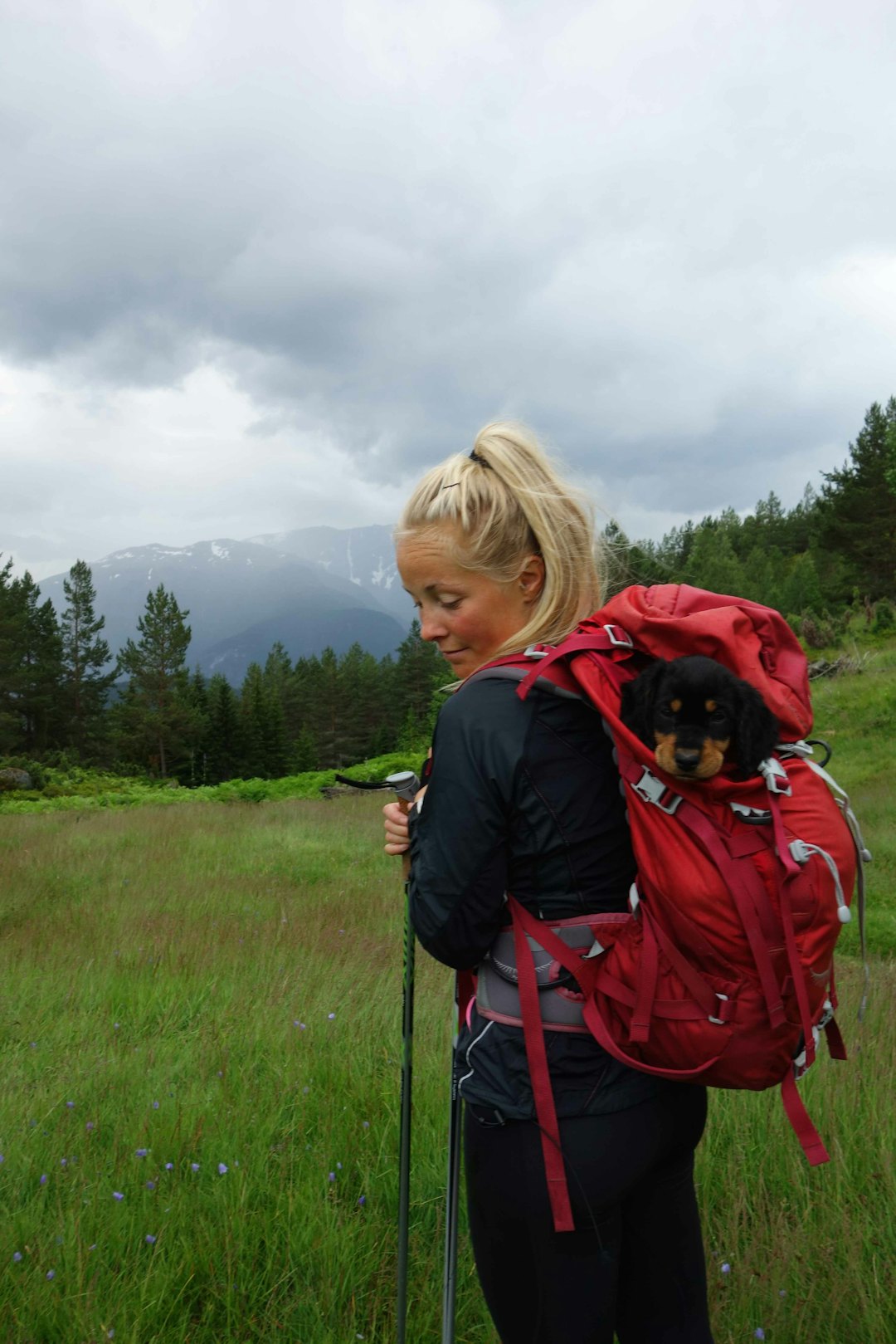 Eg har alltid sagt at det er lite folk å trene med i Sogndal, eg har funnet ei løysing på problemet å skaffa meg ein framtidig treningspartner. Foto: Mikkel Frodahl malene haukøy hund i sekken