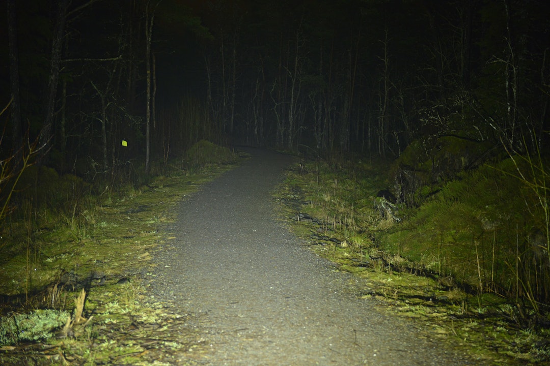 lumonite leader lumonite leader