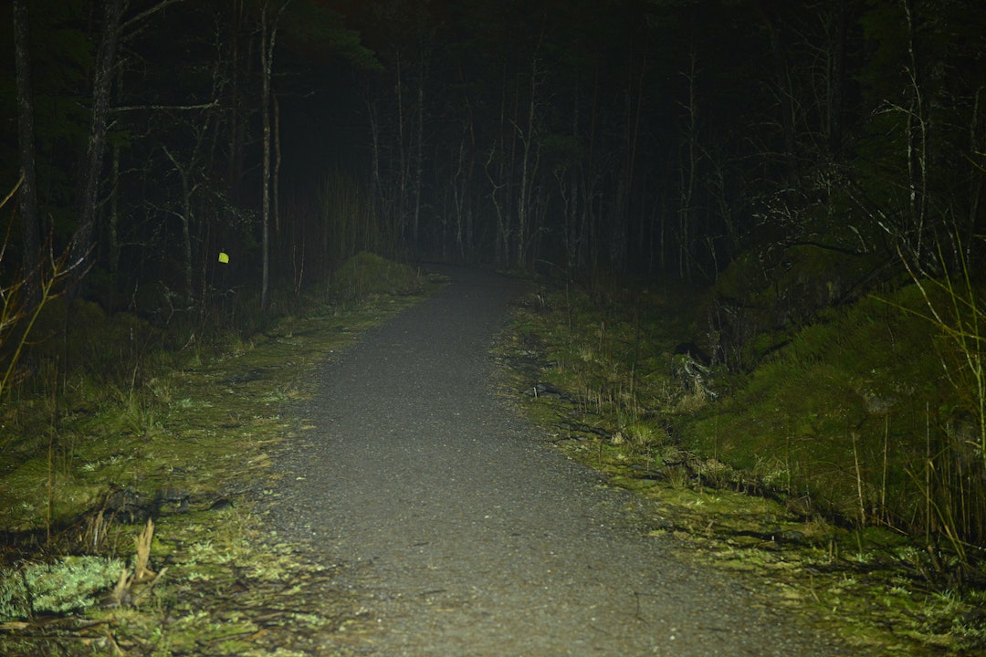 test av ledx cobra test av ledx cobra