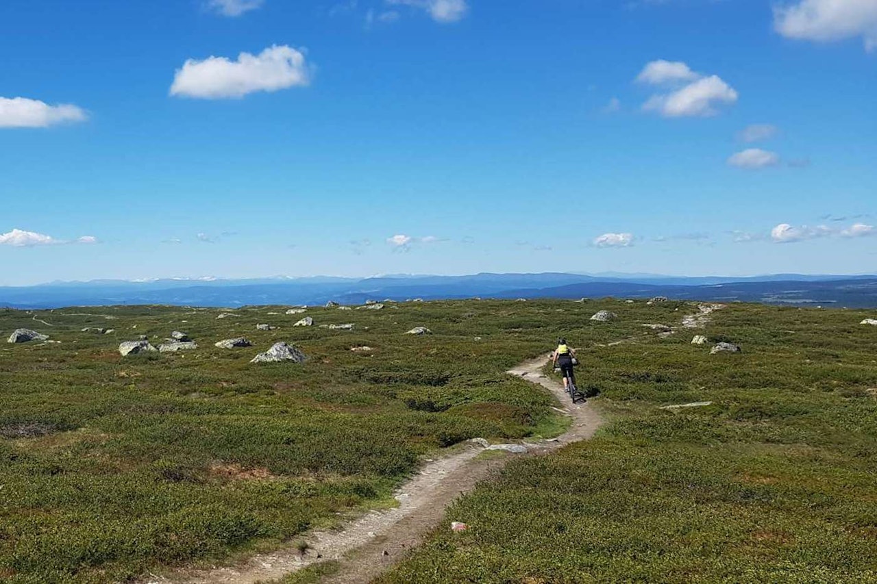 Fra UltraBirken-løypa 2018. Foto: Bjørn Ballangrud Fra UltraBirken-løypa 2018. Foto: Bjørn Ballangrud