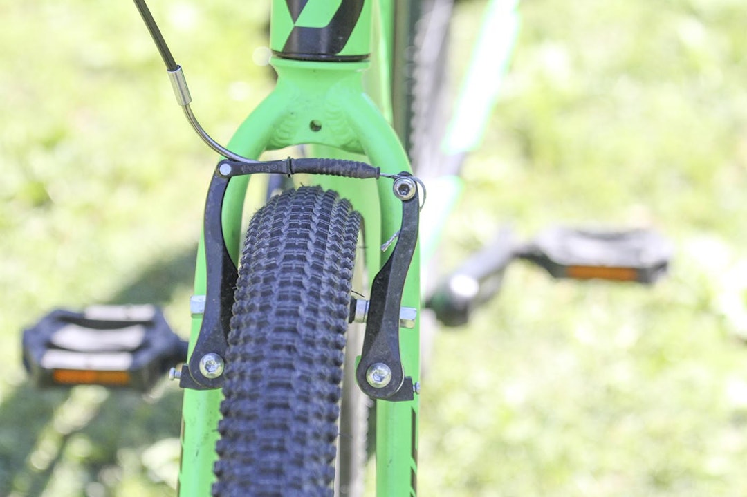 IMG_5419_SCOTT IMG_5419_SCOTT