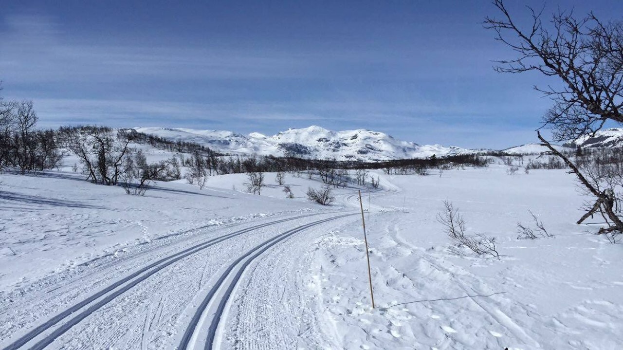 langrenn på Østlandet 