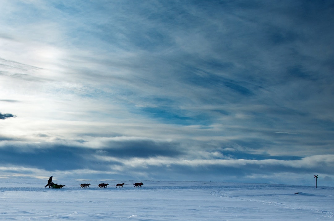 Finnmarksløpet_Foto GEIR STIAN A LARSEN