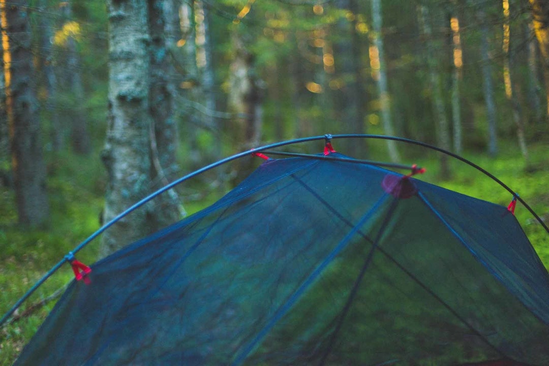 test-av-msr-carbon-reflex-1-telt-0010 test-av-msr-carbon-reflex-1-telt-0010