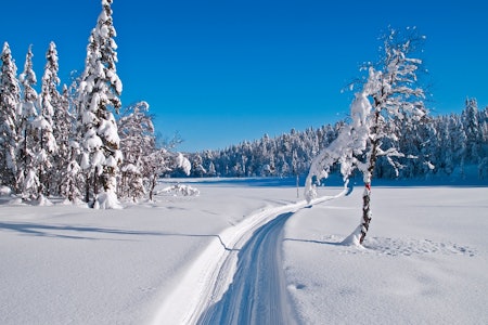PÅ SKI I NORDMARKA: Utenfor de mest trafikkerte skiløypene, finnes ypperlige muligheter for deg som ønsker en rolig tur mellom grantrærne uten pulsklokke og skryte-app på iPhonen. Det er dessuten løyper som gir flotte naturopplevelser på kvelder og netter med hodelykt, selv om det fineste lyset fortsatt kommer fra månen og stjernene. Her fra Møkkalitjern. Foto: Erik Unneberg ski i marka