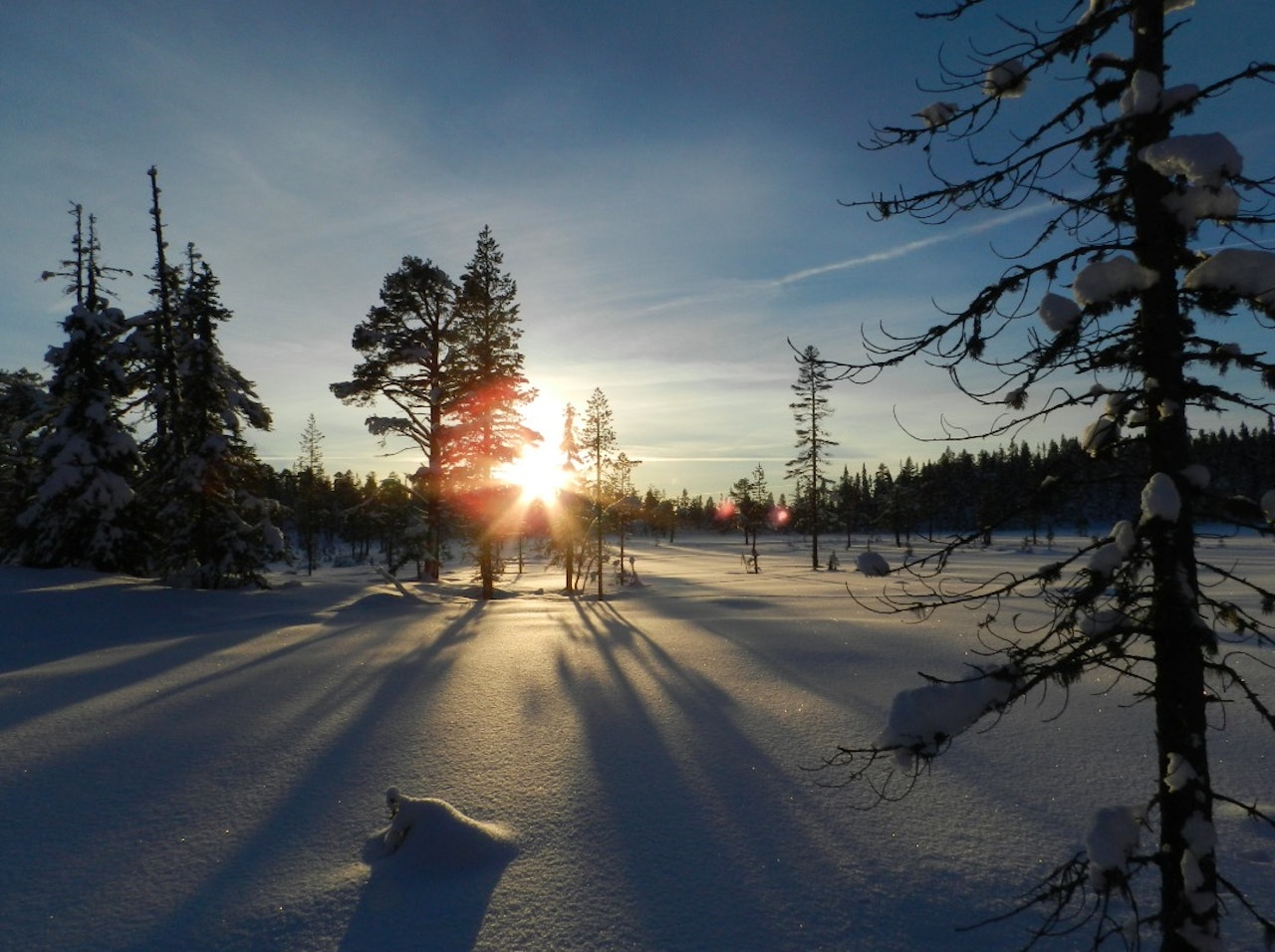 KOMME HJEM OG DRA UT: Jeg kom hjem fra Tromsø på fredags kveld og få dager senere sitter jeg på hytta. Her koser jeg meg. Men jeg føler jeg unndrar meg felleskapet og kommer ned fra skogen når de andre også har fri. Foto: Vebjørn Jakobsen Melum KOMME HJEM OG DRA UT: Jeg kom hjem fra Tromsø på fredags kveld og få dager senere sitter jeg på hytta. Her koser jeg meg. Men jeg føler jeg unndrar meg felleskapet og kommer ned fra skogen når de andre også har fri. Foto: Vebjørn Jakobsen Melum