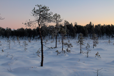 Skjermbilde 2014-12-19 kl. 13.25.29