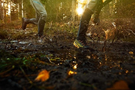 I SØLA: Du må regne med å bli våt på beina hvis du løper i skogen på høsten. Goretex-sko kan hjelpe litt, neopren- eller ullsokker er også lurt. Foto: Kristoffer H. Kippernes Løping med Goretex-sko