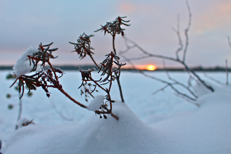 Skjermbilde 2014-12-05 kl. 17.45.32 Skjermbilde 2014-12-05 kl. 17.45.32