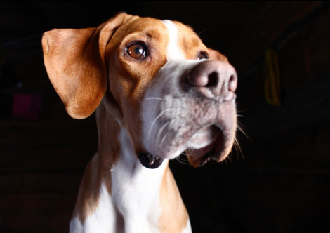 Skjermbilde 2014-12-05 kl. 18.17.47 Skjermbilde 2014-12-05 kl. 18.17.47