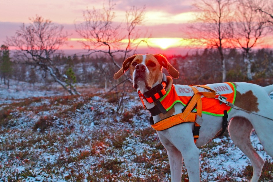 Skjermbilde 2014-10-23 kl. 19.08.27 Skjermbilde 2014-10-23 kl. 19.08.27