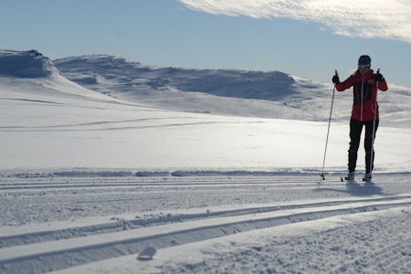 Naturtecserien fungerer til det meste av uteaktiviteter, som fjellskiturer, toppturer og i langrennssporet. Foto: Sandra L. Wangberg