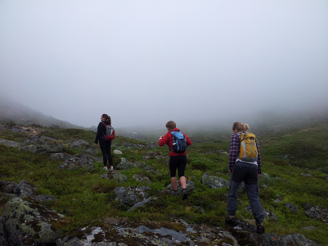 gruppetur sunnmøre fjelltur gruppetur sunnmøre fjelltur