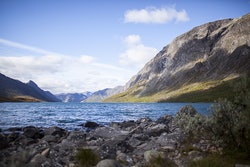 festivalen-12 festivalen-12