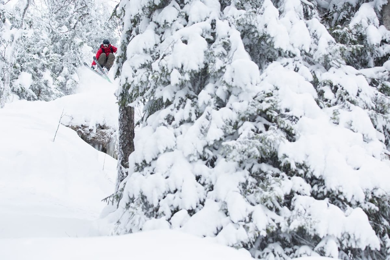 STORE PROTESTER FOR LEGENDARISK SKOG: Dagen før høringsfristen har underskriftskampanjen for å verne Totteskogen i Hemsedal over 1300 underskrifter. Arkivfoto: Kalle Hägglund STORE PROTESTER FOR LEGENDARISK SKOG: Dagen før høringsfristen har underskriftskampanjen for å verne Totteskogen i Hemsedal over 1300 underskrifter. Arkivfoto: Kalle Hägglund