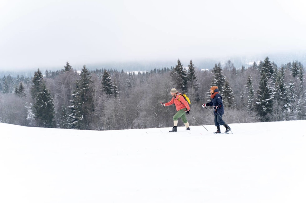 FESTE OG GLID: Skiene i denne testen er ikke opprinnelig utviklet for bruk i høyfjellet, men mer for turer utenfor sporet i løs snø der bæreevne og feste er prioritert. FOTO: Emma Gamme