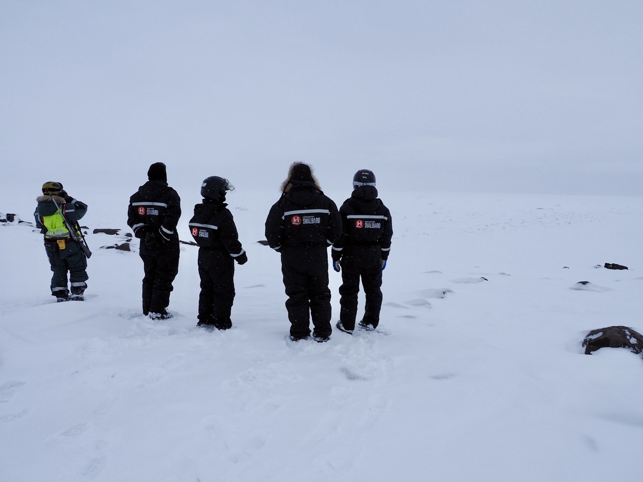 SPEIDER ETTER ISBJØRN: Vi prøver å få øye på isbjørn ute i Mohnbukta, og litt senere så vi den faktisk. Foto: Lisa Kvålshaugen Bjærum