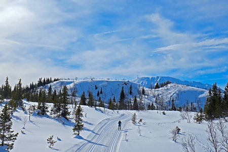 85 kilometer med løyper prepareres hver dag. Kan det bli bedre? Gaustablikk Langrenn tur guide