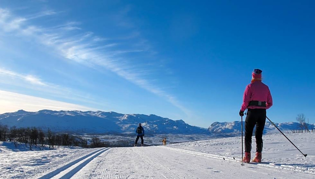 Vierli Farhovdfjellet langrenn ski guide Telemark