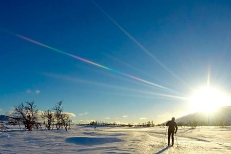 Familiehelten og halvhelten følger denne løypetraseen. Krossen langrenn tur guide