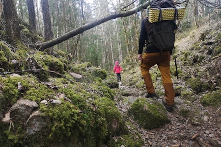 PÅSKETUR: Nærområdet byr på muligheter overalt, og det skjer mye i skogen på denne tiden av året. Foto: Gunhild Aaslie Soldal tur med barn