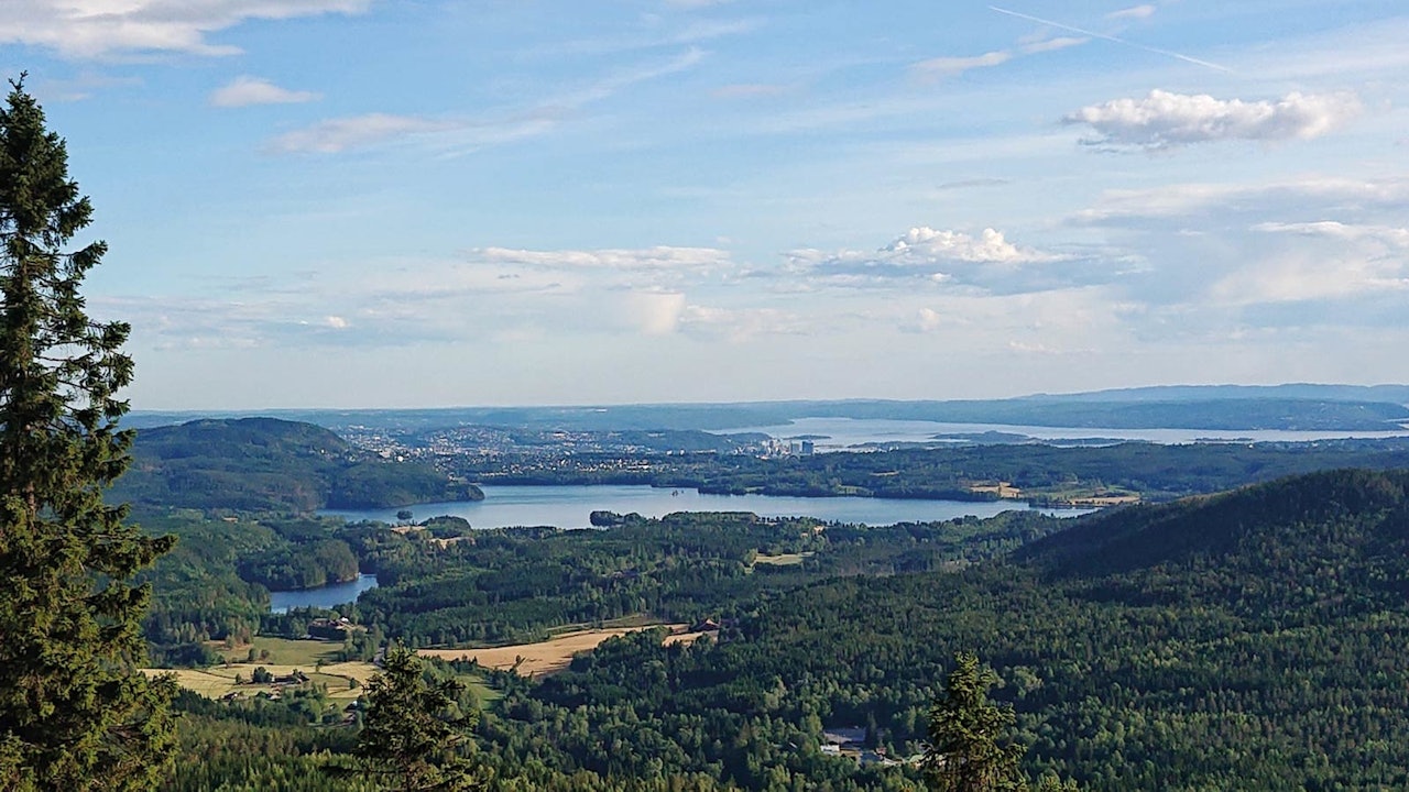 tur til gaupekollen oslo