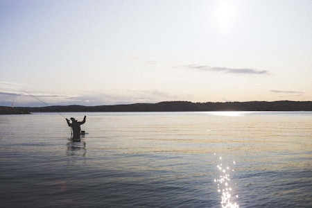 NEDBYGGING: I Indre Oslofjord er nå 70 prosent av strandsonen utbygd, og nedbyggingen fortsetter. Bildet er fra Hvaler ytterst i Oslofjorden. Kommunen består av 833 øyer, holmer og skjær. Foto: Kristoffer H. Kippernes nedbygging av strandsonen