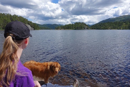 Austbø Tansvatn turguide Rauland Telemark Austbø Tansvatn turguide Rauland Telemark