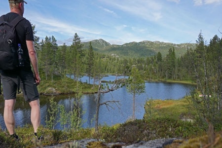 Langetjønn ligger fint til inne i skogen. I bakgrunnen ser vi fjellene ved Holtardalen, blant annet Brattskarnuten. Foto: Erlend Larsen Langetjønn rundtur