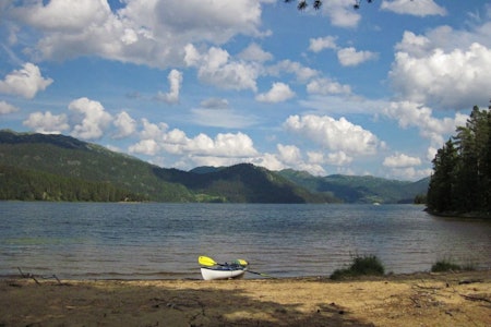Det er fint å padle på Tansvatn og Lognvikvatn. Denne stranda vender mot Lognvikvatn. (Foto: Erlend Larsen) Tansvatn Lognvikvatn Rauland Padletur guide Telemark
