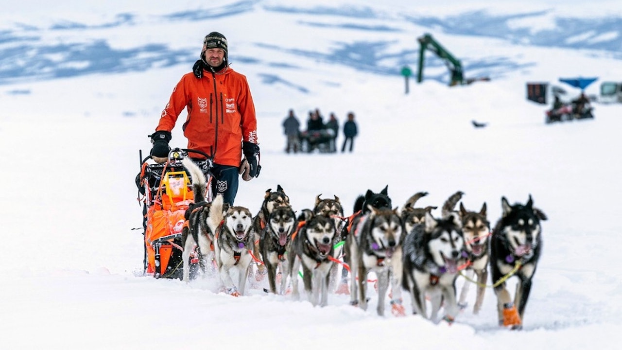 Thomas Wærner på vei gjennom villmarka i Alaska med hundespannet sitt for noen dager siden. Foto: Loren Holmes / Anchorage Daily News thomas wærner iditarod