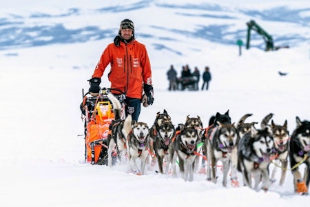 Thomas Wærner på vei gjennom villmarka i Alaska med hundespannet sitt for noen dager siden. Foto: Loren Holmes / Anchorage Daily News thomas wærner iditarod