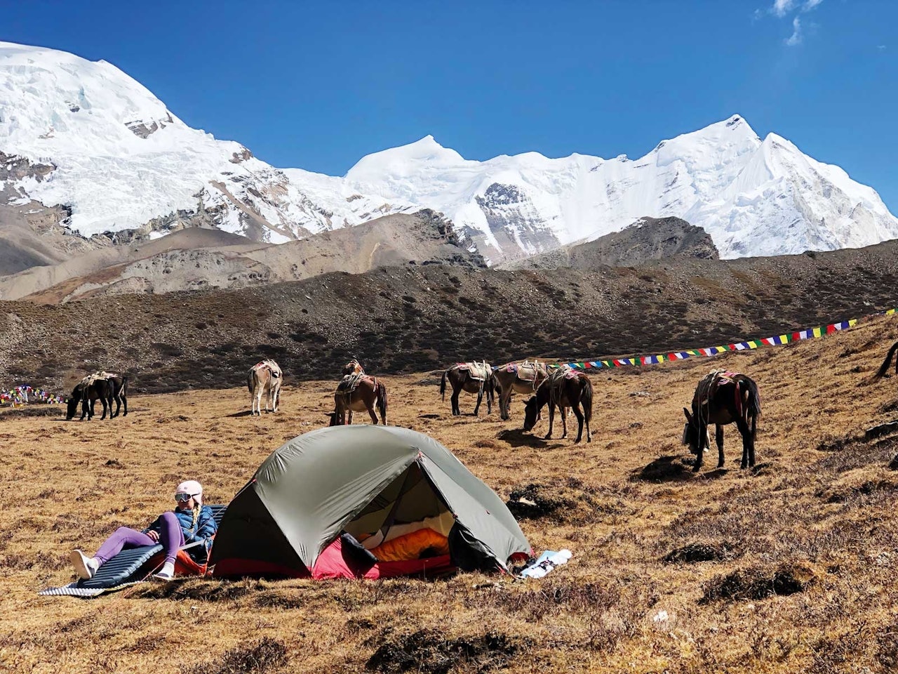 HJEMMEKOSELIG: En brukbar teltplass i hovedleiren til fjellene i bakgrunnen, deriblant gudinna, Himlung Himal. Foto: Moa Hundseid