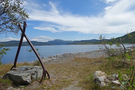 Langs møsvatn i Telemark