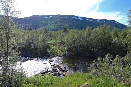 Steinene er lagt ut for å skape trygt underlag for skiløypene. (Foto: Erlend Larsen)