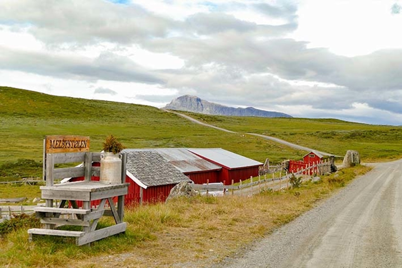 MJØLKEVEGEN MED AVSTIKKERE: Langs Jotunheimenvegen kommer du tett på fjellet og stølslivet med sykkel. Foto: Birgit Haugen MJØLKEVEGEN Bygdin beitostølen sykkeltur