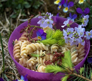 FARGERIK PASTA: Pasta er genial turmat. Den fineste garnityren til pastaen går du kanskje forbi? Foto: Sigrid Henjum FARGERIK PASTA sigrid henjum