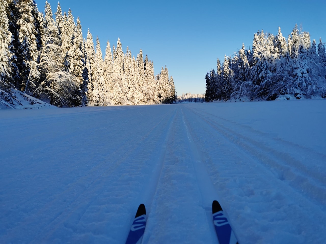 POPULÆRE SKILØYPER: Oslo-marka har blitt godt besøkt i vinter. Foto: Gunhild Aaslie Soldal skiturer i marka