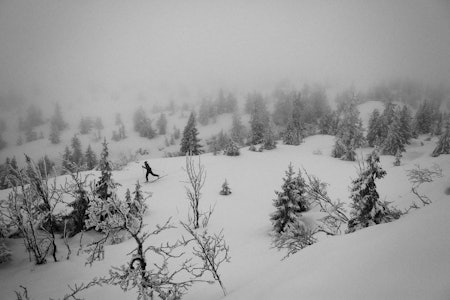 LETTKUPERT: Vikerfjell omtales som Oslos nærmeste høyfjell, og tilrettelegger langrennsspor når snøen har lagt seg. Foto Kristoffer H. Kippernes langrenn på vikerfjell