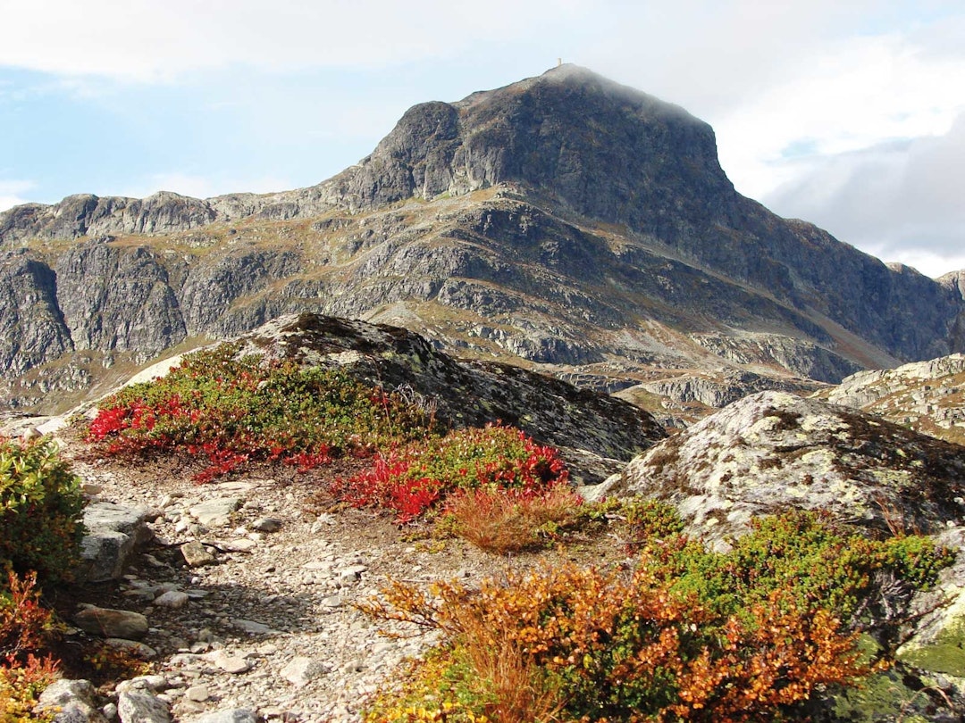 BITIHORN: Et karakteristisk fjell som er gjenkjennelig på lang avstand. Ruta som beskrives går på andre siden av fjellet. Foto: Merethe Hovi fjelltur til bitihorn