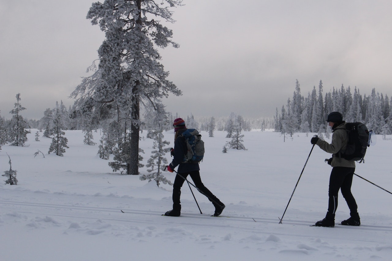 GROPMARKSRUNDEN: Det hender at det er surt og kaldt på fjellet. Da er det bedre å holde seg lavere i terrenget, og Gropmarksrunden kan være et fint alternativ. Foto: Øyvind Wold skitur på nordseter gropmarksrunden