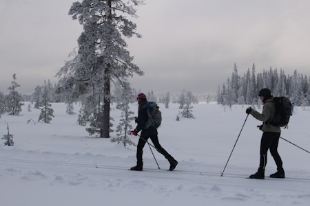 GROPMARKSRUNDEN: Det hender at det er surt og kaldt på fjellet. Da er det bedre å holde seg lavere i terrenget, og Gropmarksrunden kan være et fint alternativ.  Foto: Øyvind Wold skitur på nordseter gropmarksrunden