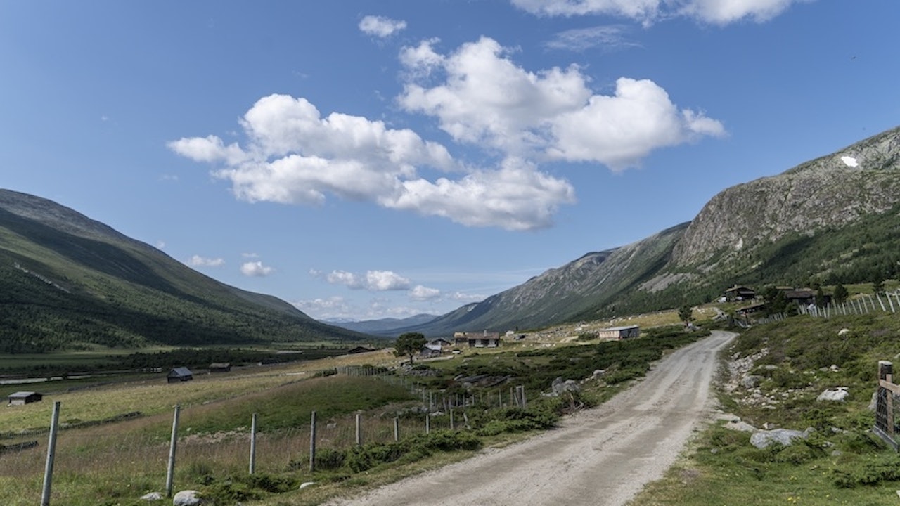 FINNDALEN: Naturen i store delar av Finndalen er verna. Her finst mellom anna den sjeldne og truga arten hengegras. Foto: Rebecca Nedregotten Strand finndalen vågå gudbrandsdalen