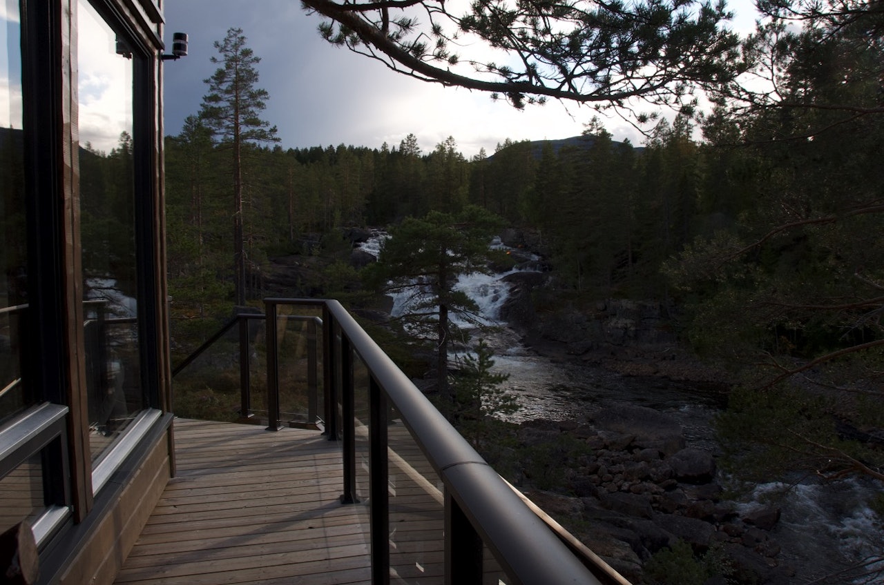 FOSSTOPP tretopphytte ved Vassfaret hedalen:  Foto: Gunhild Aaslie Soldal